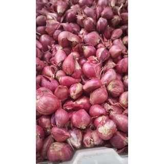 bawang merah 50 gram Bawang Super - Bawang Brebes | bersih | baru