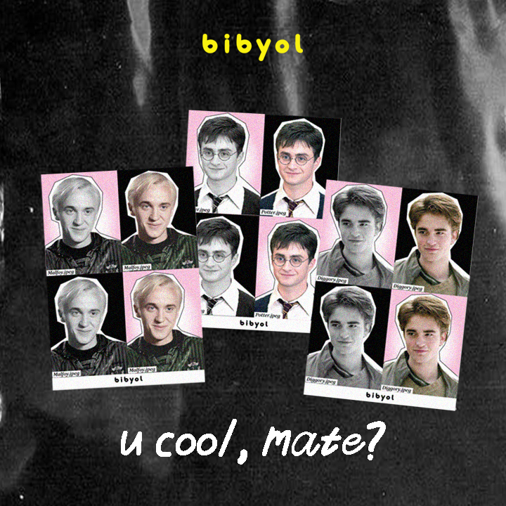 Harry Potter Draco Malfoy Portrait ID Photo fanmade unofficial bibyol