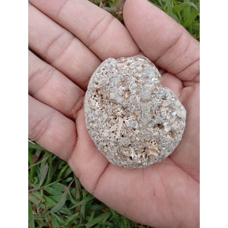 ดาวตกพันf0s1l 11****