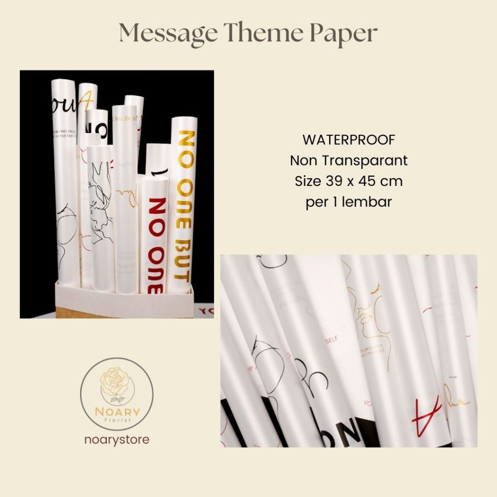 MESSAGE THEME PAPER*