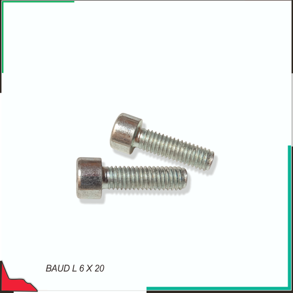 Baud L 6 X 20*******