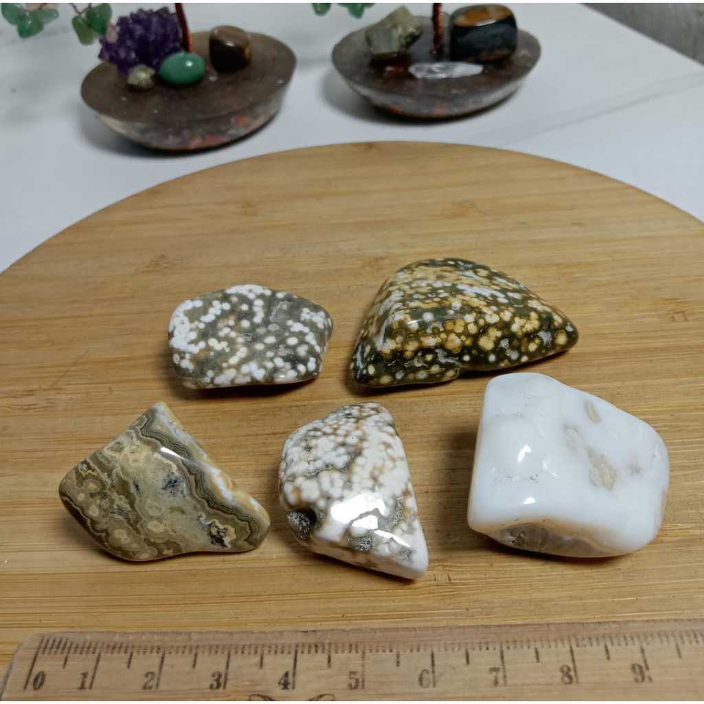 Natural Ocean Jasper Trumble Chips Package (10)