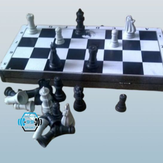 HORSE CHESS WOODEN BOARD CHESS พลาสติก PAWN ขนาด XL