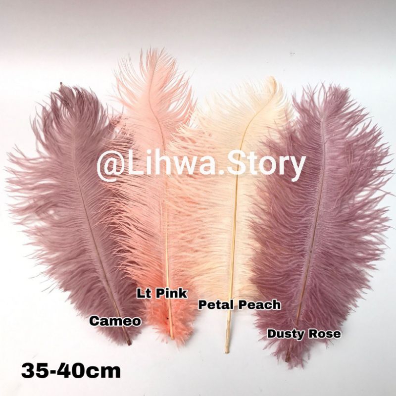 ต่อ 1 ชิ้น - ขนาด 35 ซม. - 40 ซม. / DECORATIVE GRAIN FEATHER / OSTRICH GRAIN FEATHER