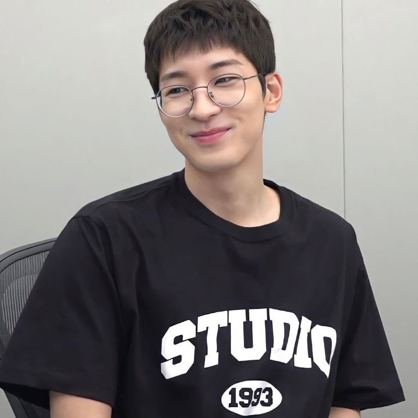 เสื้อยืด Wonwoo Seventeen Studio 1993