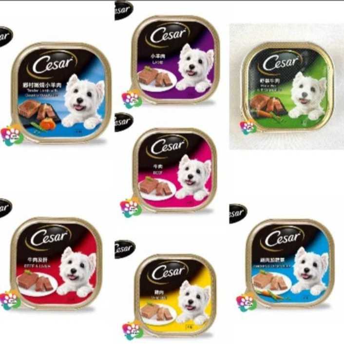 Cesar Wet Dog Food 100gr - Cesar Wet Dog Food 100gr - อาหารสุนัขแบบเปียก