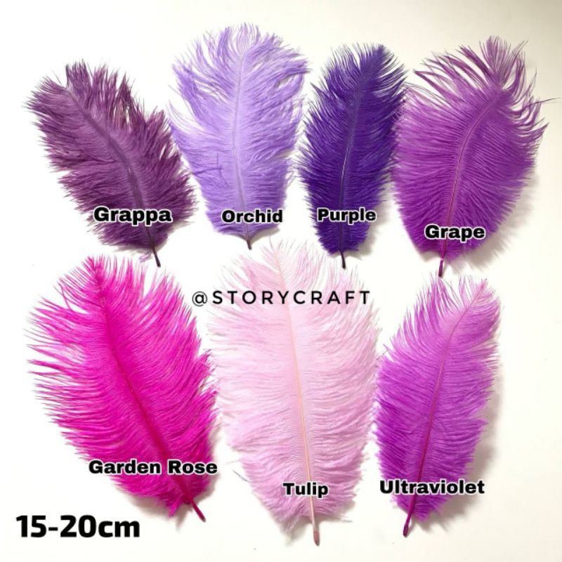ต่อ 1 SEED - ขนาด 15CM - 20CM / OSTRICH GRAIN FEATHER / DECORTATION FEATHER / DECORATIVE FEATHER