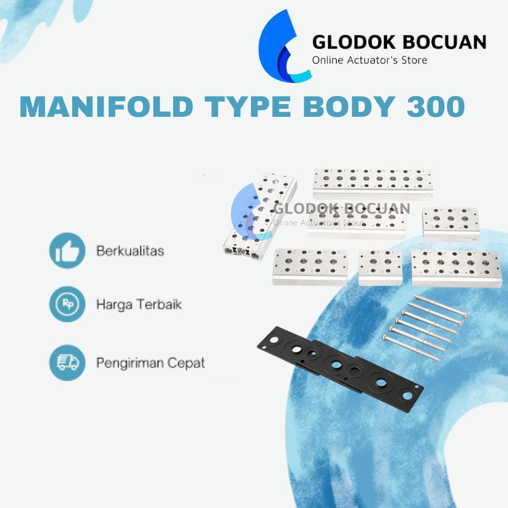 MANIFOLD BLOCK (SOLANOID TYPE V53 / BODY 300 / 4V310)