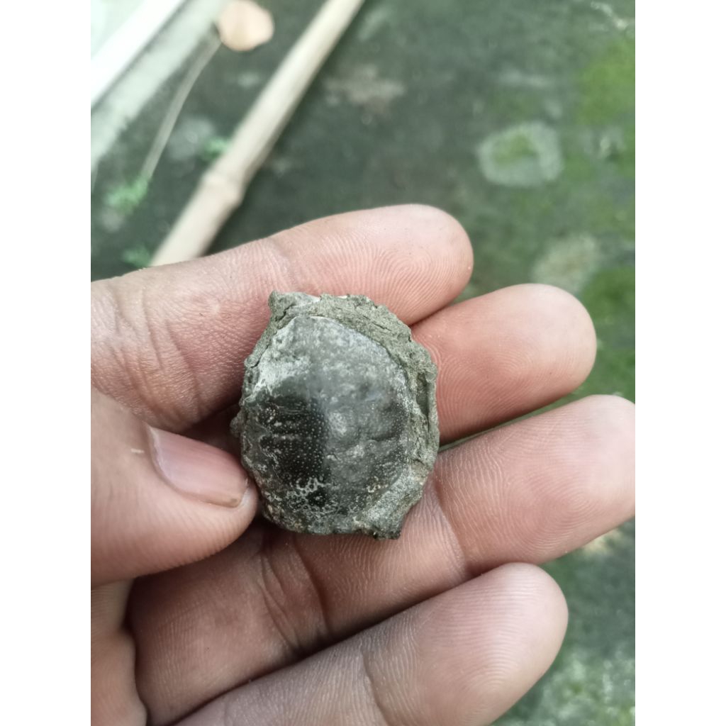 ประชุมหิน Yuyu klangg