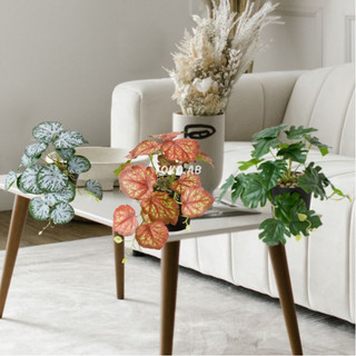RANGKAIAN BUNGA ARTIFICIAL PEPEROMIA POT PLASTIK RB6010 TANAMAN JUNTAI ARTIFICIAL DAUN PLASTIK DINDING