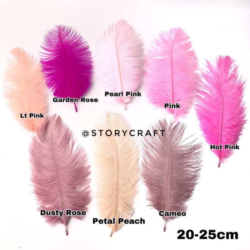 ต่อ 1 ชิ้น - 20 ซม. - 25 ซม. / OSTRICH FEATHERS / DECORATION FEATHERS / HEADPIECE FEATHERS / FEATHER