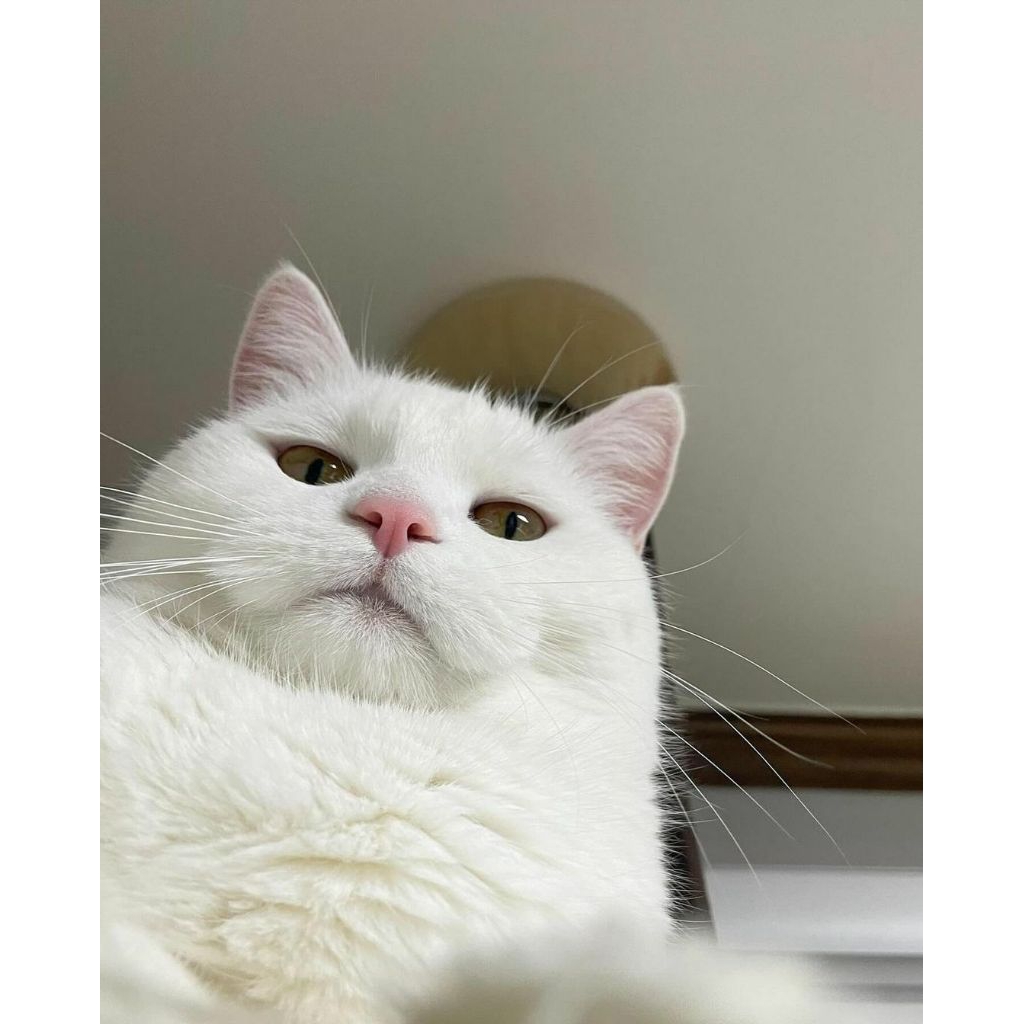 (WITE NAME/USN) จองแล้ว