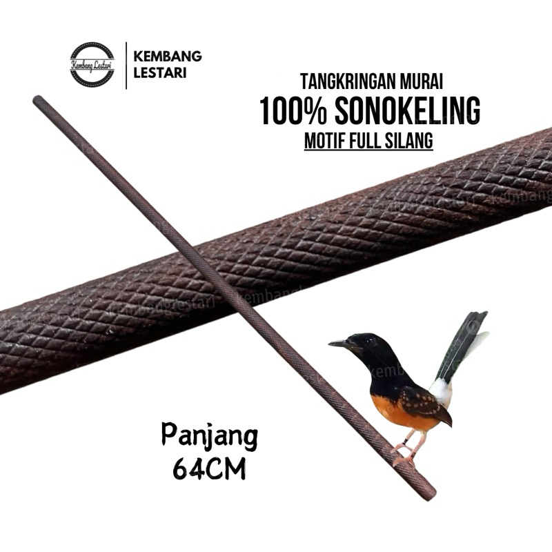 PERCH SONOKELING FULL CROSSED FOR MURAI BIRD PLANGKRING