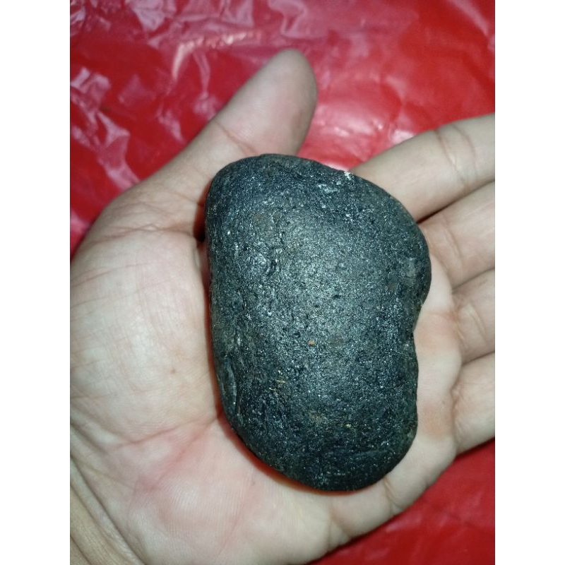 ไม้หิน F0s1l 1******