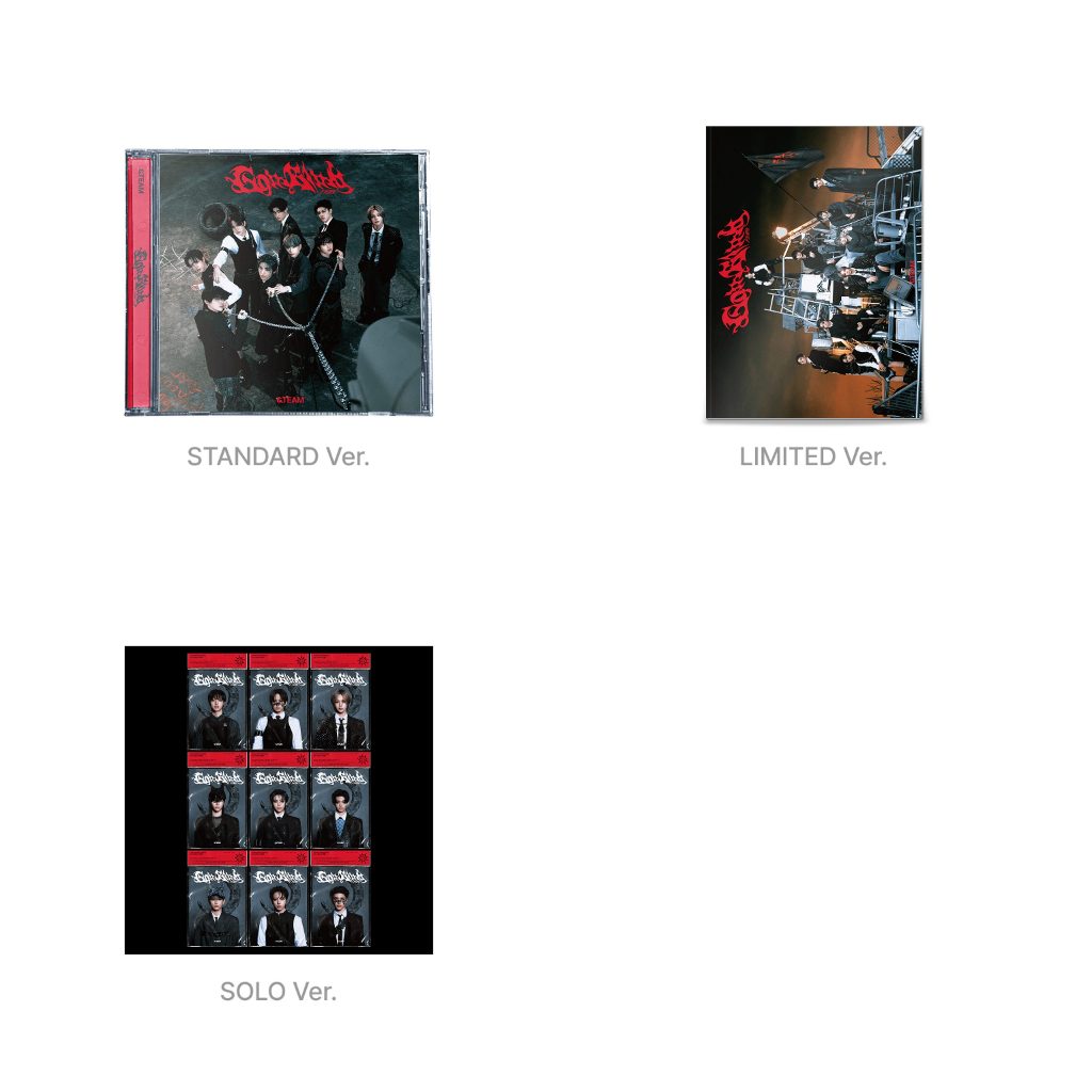 &TEAM 3rd SINGLE - Go in Blind