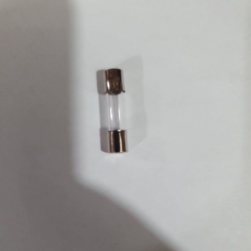 2 Ampere Fuse Micromotor Fuse