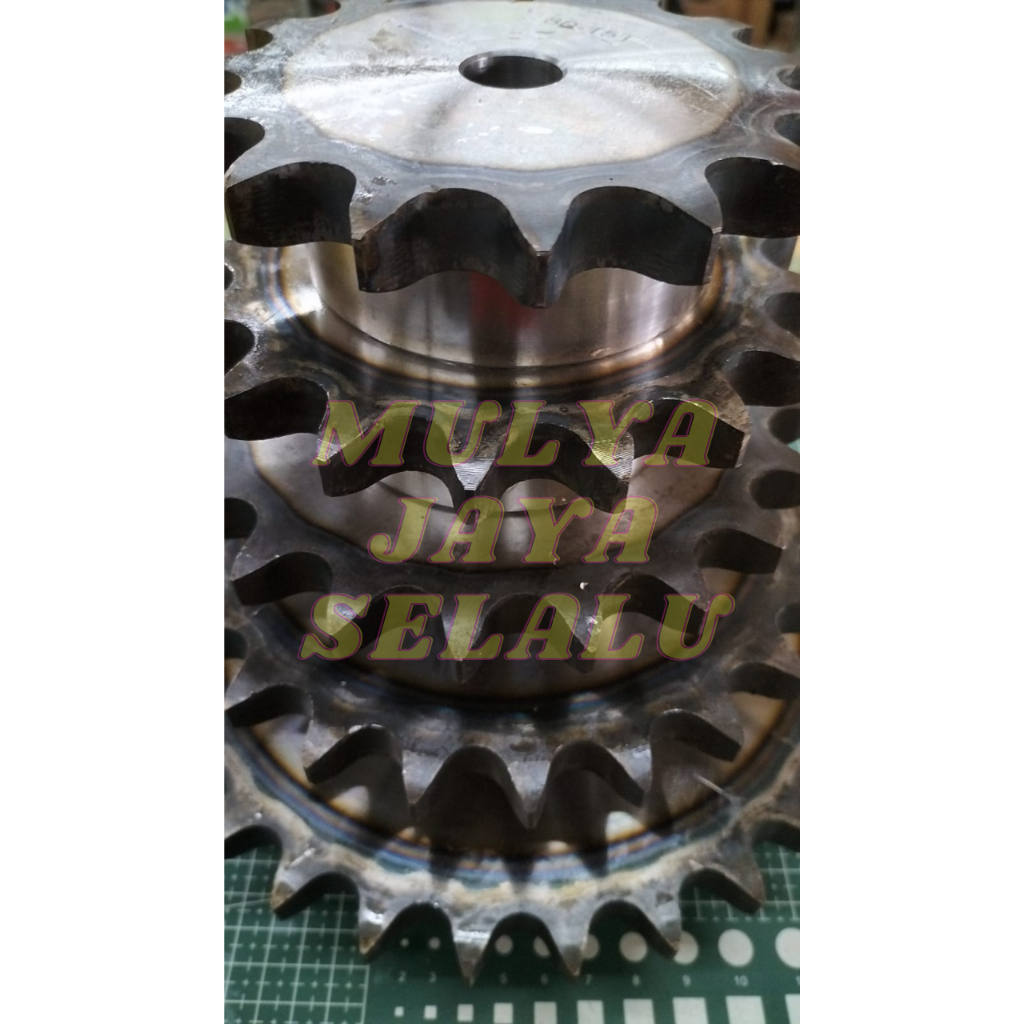 SPROCKET RS 06B X 17 T GEAR CHAIN เกียร์เดี่ยว 17 T
