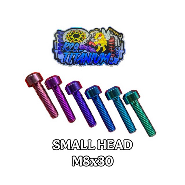 SMALL HEAD TITANIUM BOLT M8x30 ORIGINAL TITANIUM GR5