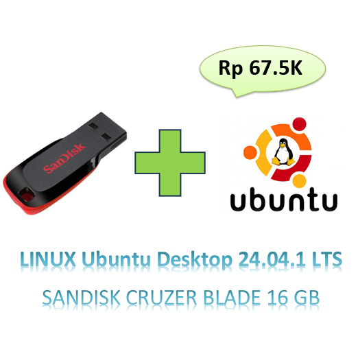 USB Linux Ubuntu Desktop 24.04.1 LTS