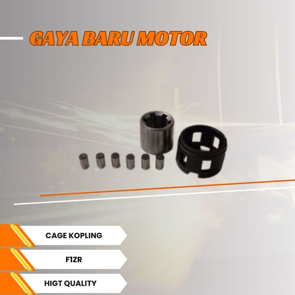 F1ZR THAILAND CAGE**