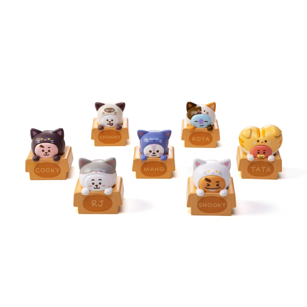 BT21 ฟิกเกอร์แมววัน RJ Mang