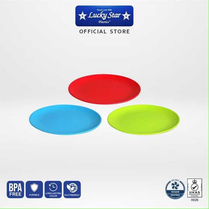 FLAT PLATE 26 KOREAN 1004-9381-DX