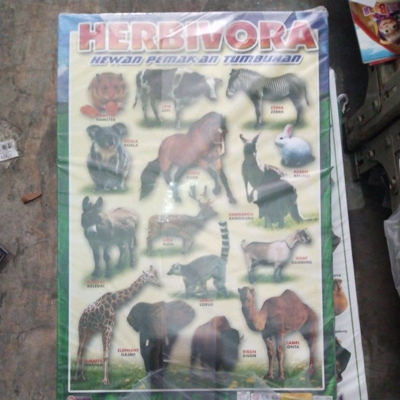 โปสเตอร์ Herbivore 1