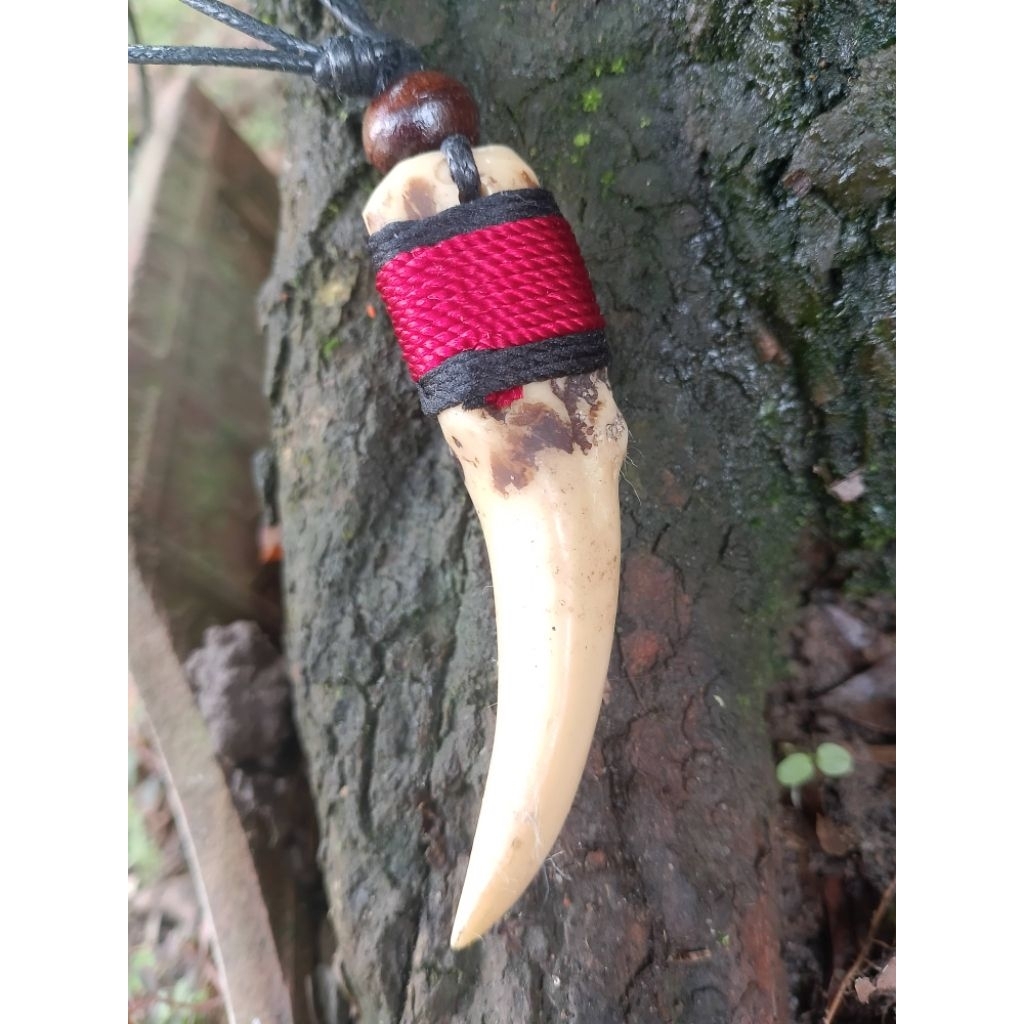 สร้อยคอเขี้ยวชาติพันธุ์ Mcn