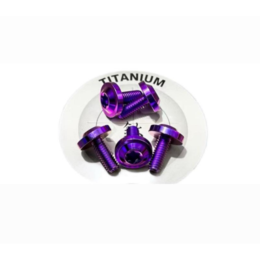 Titanium Bolt M 6 x 10 มม. เกลียว 10 x 1 ซม. หัวใหญ่