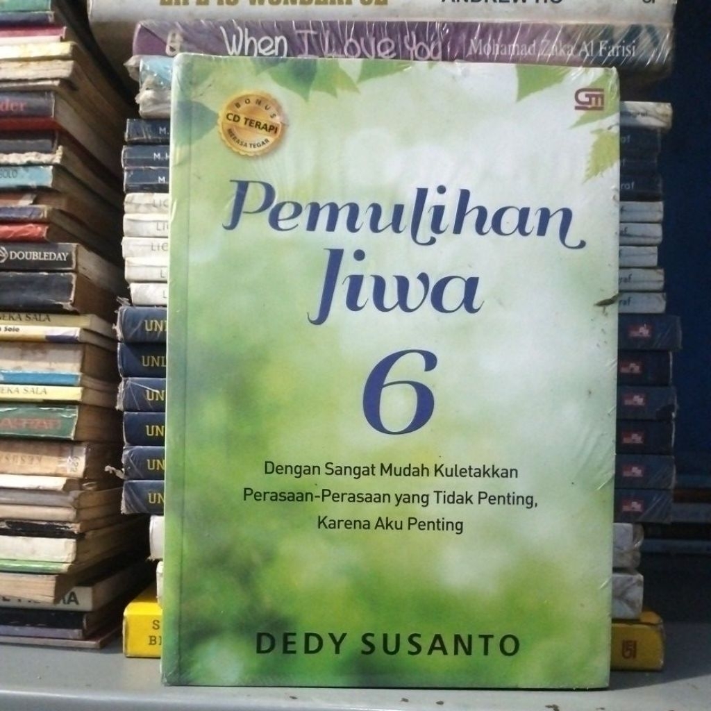 Soul Recovery 6 - Dedy Susanto
