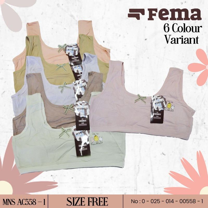 3,6,12 ชิ้น Fema AC588 Teen Miniset ไม่มีโฟม
