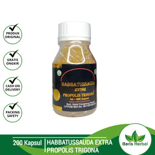 Habbatussauda Propolis Trigona ORIGINAL Habatusauda UMS | Habbasya Pro Habbatusauda | Trigona Gold