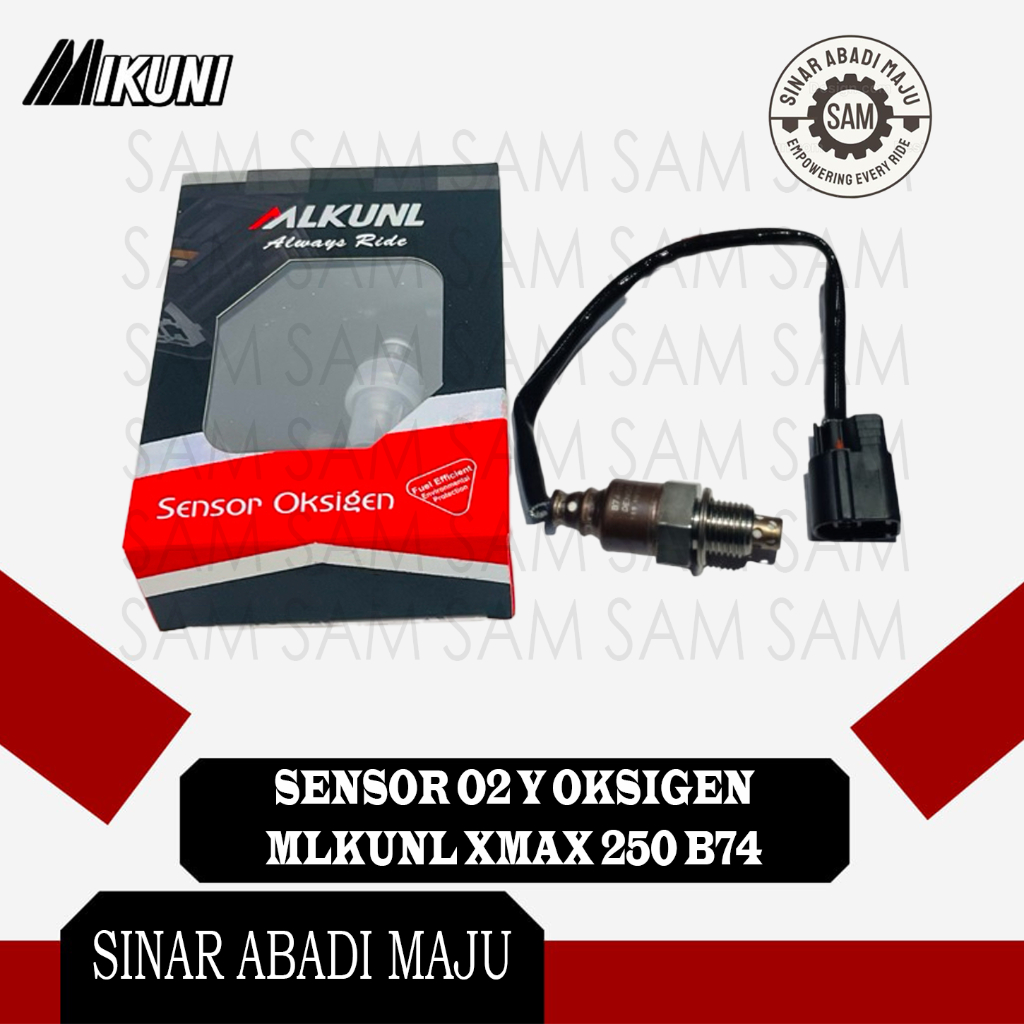 Y X-MAX 250 B74 MLKUNL OXYGEN O2 SENSOR
