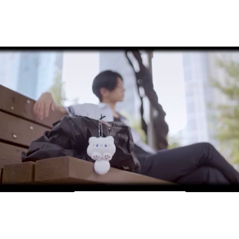 ตุ๊กตาผ้ากํามะหยี่ enhypen jay จีนอย่างเป็นทางการ