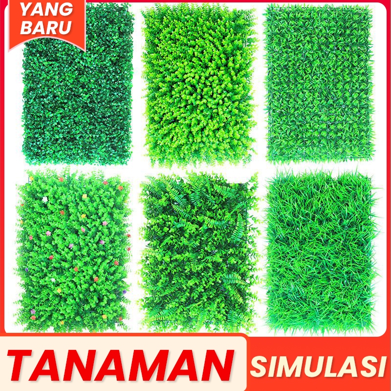 พรีเมี่ยม SYNTHETIC WALL DOLLAR LEAF 40 x 60 ซม. (ราคาตรงกัน) VERTICAL GARDEN DOLLAR LEAF CREEPER