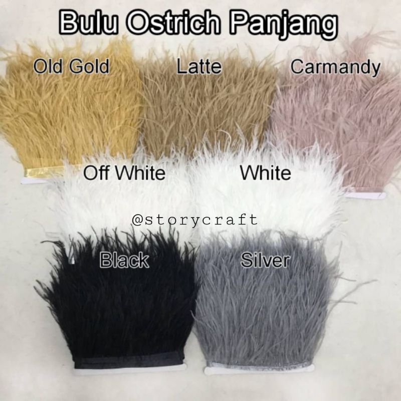 1 เมตร - OST LONGRICH OST FEATHERS/CLOTHES FEATHERS/DORATIVE FEATHERS