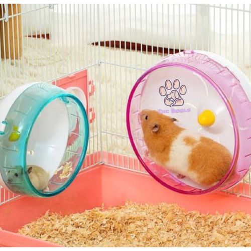 (The Bools ) ACRYLIC HAMSTER WHEEL / CUTE HAMSTER TOY WHEEL