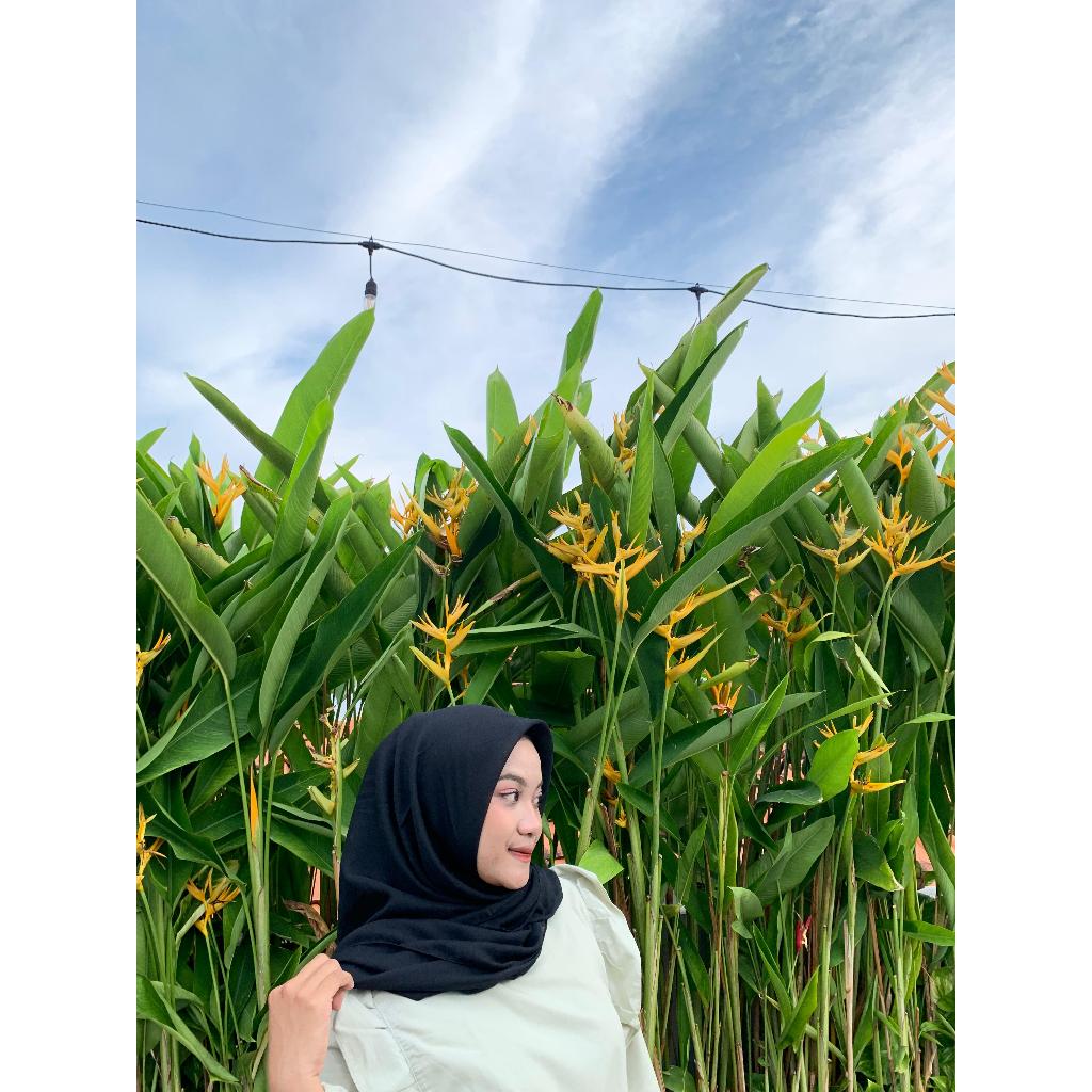 ฮิญาบ - ฮิญาบ Old School Paris - Old School Paris - Old School Paris