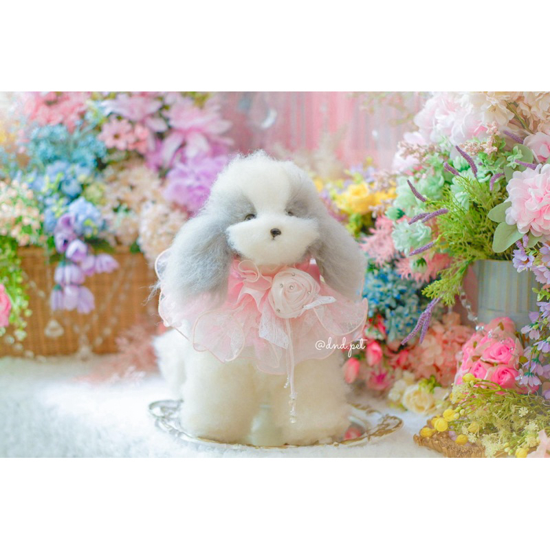 KIYORA เอี๊ยม DND สัตว์เลี้ยง 🩷