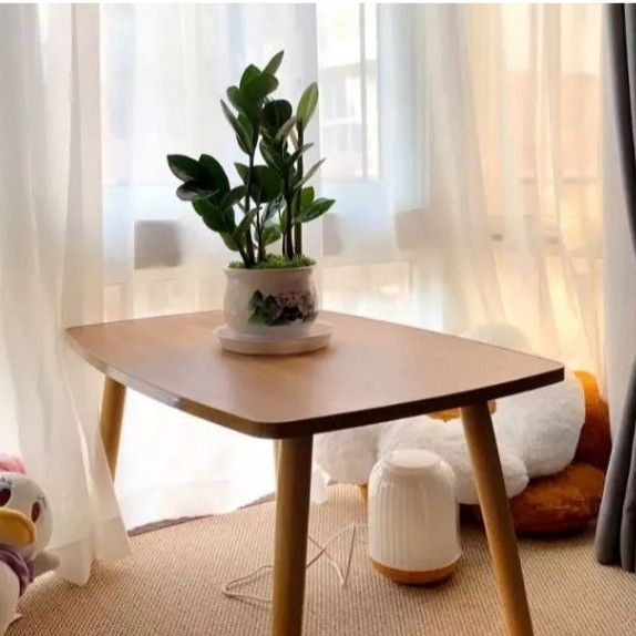 MINIMALIST LIVING ROOM TABLE / WOODEN COFFEE TABLE / AESTHETIC DINING TABLE / SALES TABLE / MULTIPUR