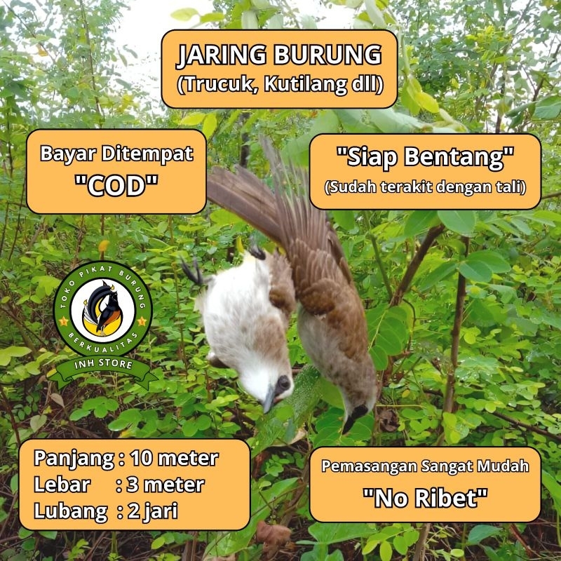 CRUCUK TRUCUK BIRD NET 2 IN NET READY TO NET 4 BAGS BIRD NET 2 BAGS BIRD NET 3 BAGS BIRD NET 4 BAGS 