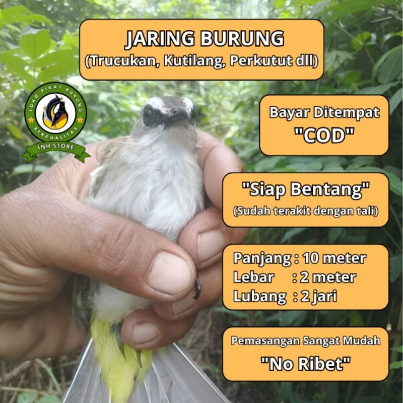 CRUCUK TRUCUK BIRD NET 2 IN NET READY TO NET 4 BAGS BIRD NET 2 BAGS BIRD NET 3 BAGS BIRD NET 4 BAGS 