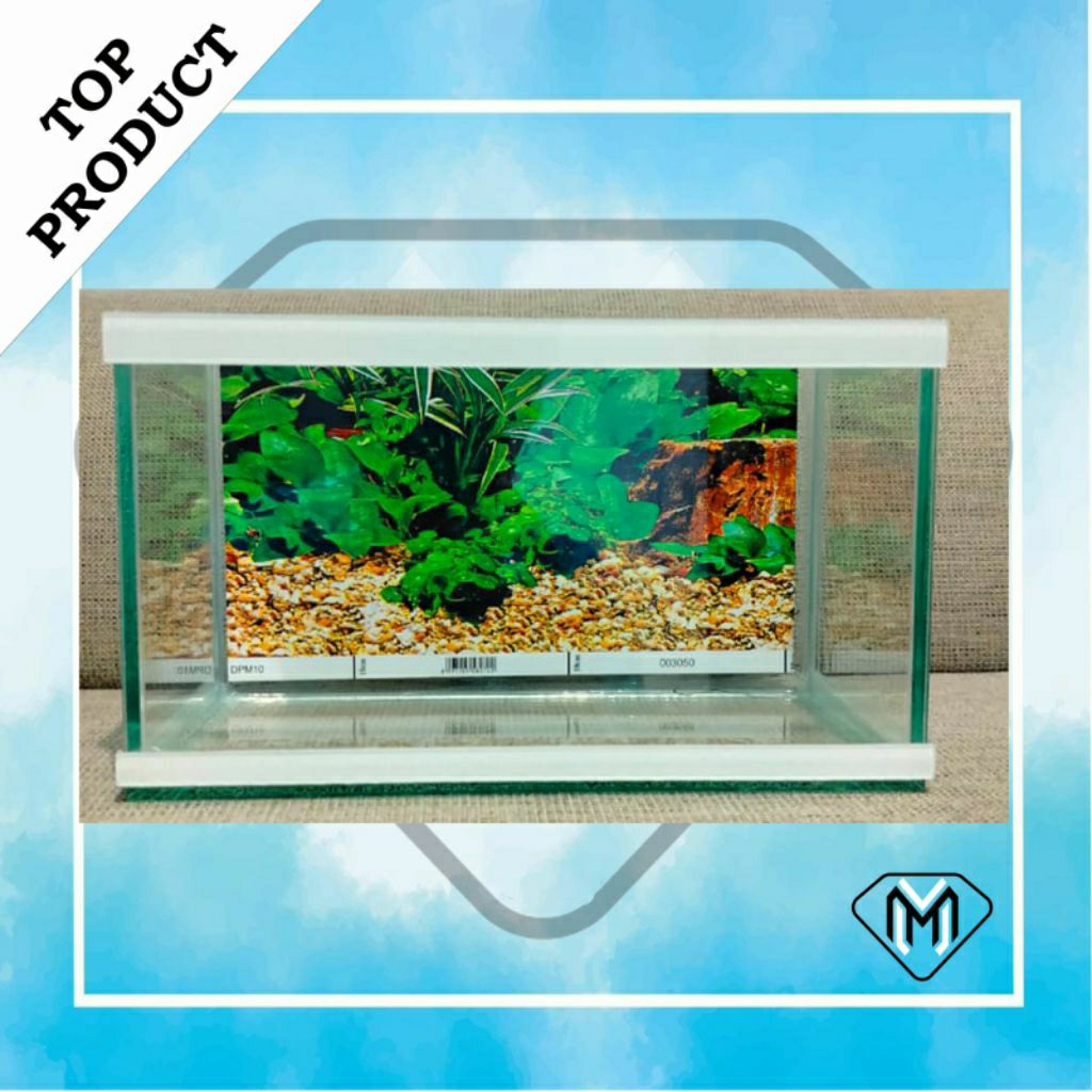 แก้วน้ํา 28x12x14 / MINIMALIST ORAMENTAL FISH AQUARIUM / แก้ว AQUARIUM SOLITER MINI FISH PLACE