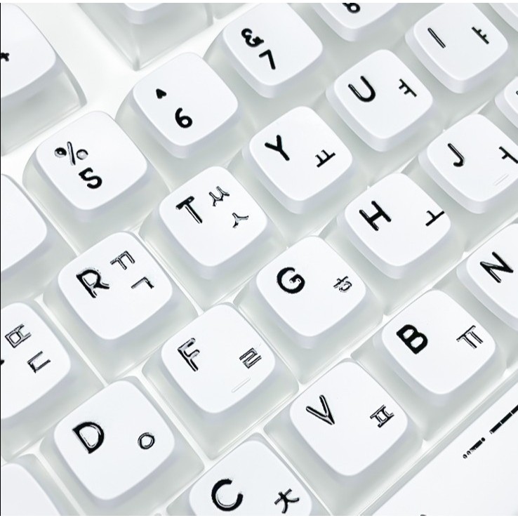 CBSA Profile PBT Double Shot Pudding Transparent Korean Root Keycaps