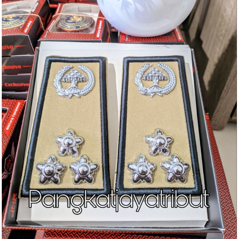 PNS/ASN RANK LAMPUNG RANK GROUP 3C คุณภาพพิเศษ