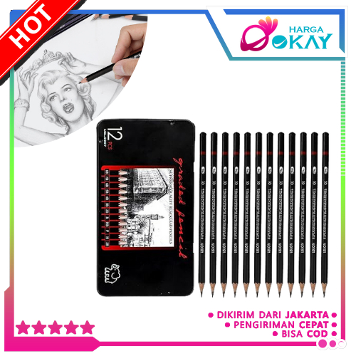 HO 12 pcs Sketch Drawing Pencils ครบชุด 2H HAHB HB 2B 3B 4B 5B 6B 7B 8B Charcoal Pencils Set อุปกรณ์