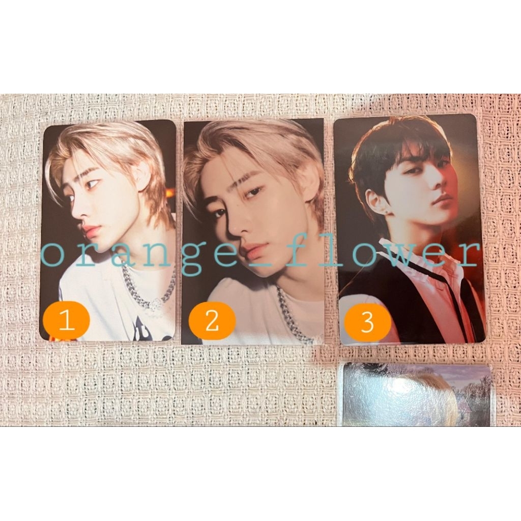 Sunghoon ums สีบลอนด์ ktown 4u ktown4u mdo manifesto day one jungle dark เลือดอัลบั้ม weverse vv แนว