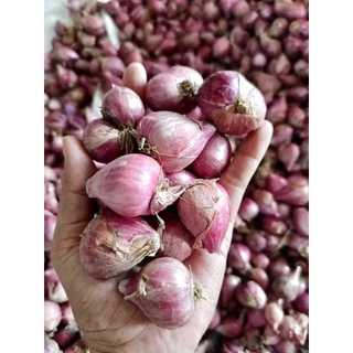 Bawang merah super murah promo fress 1kg