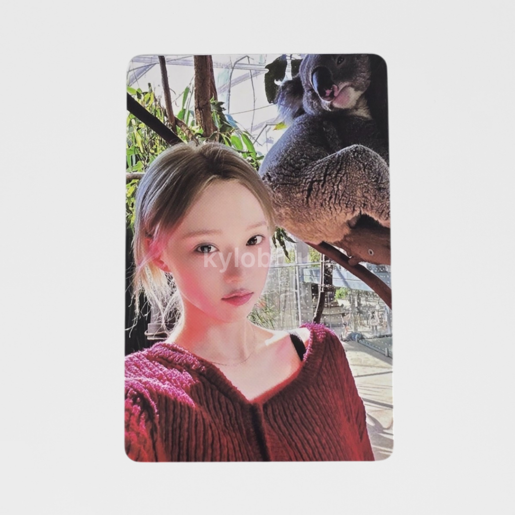 [READY] PHOTOCARD PC OFFICIAL AESPA WINTER EVENT COLLAR WHIPASH QQ MUSIC 4 STAR KOALA