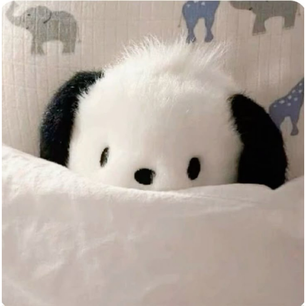 Link co Midnight Mirage & Sunlove odysssey